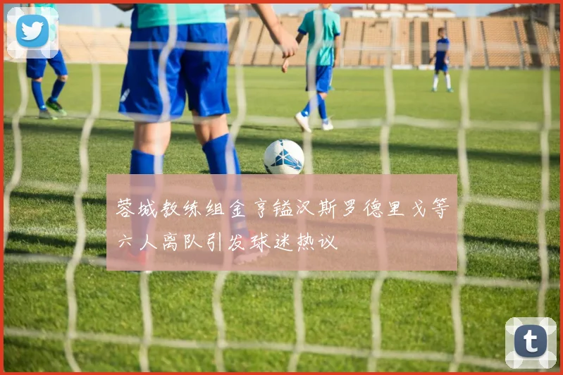 蓉城教练组金亨镒汉斯罗德里戈等六人离队引发球迷热议